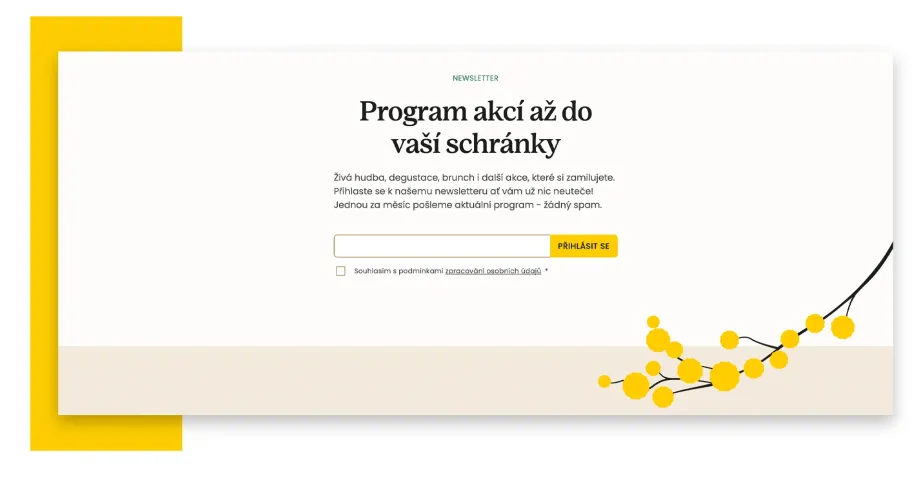 Přihlášení k newsletteru na webu Le Mimosa