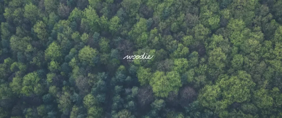 Letecký pohled na les s logem Woodie
