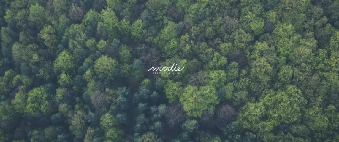 Letecký pohled na les s logem Woodie