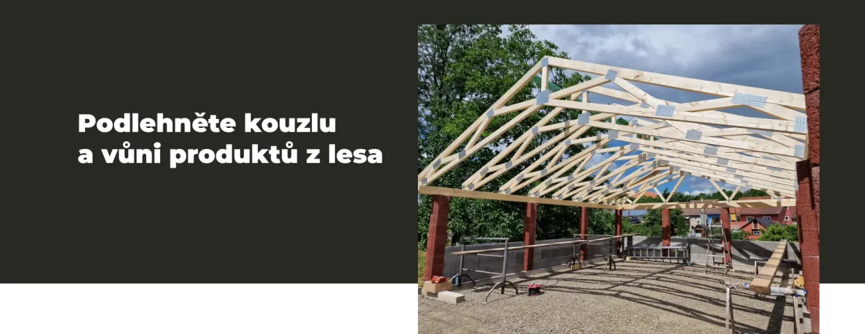 Vizuál Woodie – podlehněte kouzlu a vůni produktů z lesa
