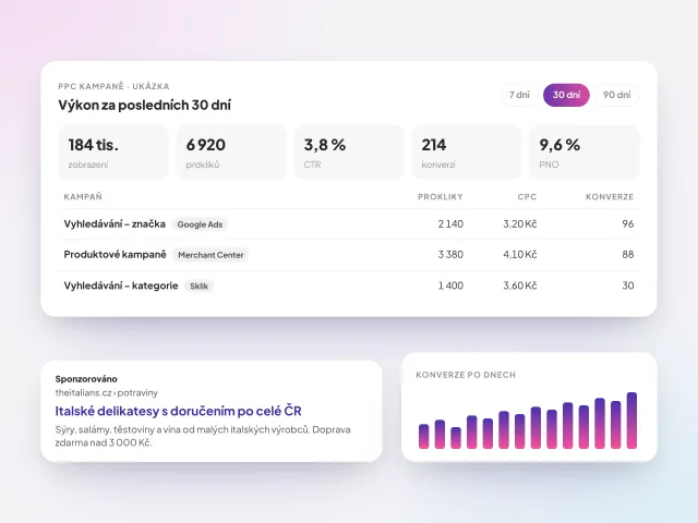 Přehled PPC kampaní v Google Ads a Skliku s konverzemi a textovou reklamou
