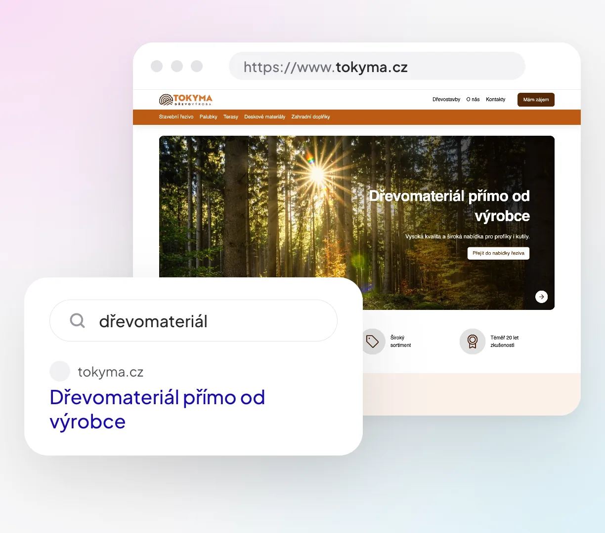 Ukázka výsledku ve vyhledávání a PPC reklamy pro e-shop TOKYMA